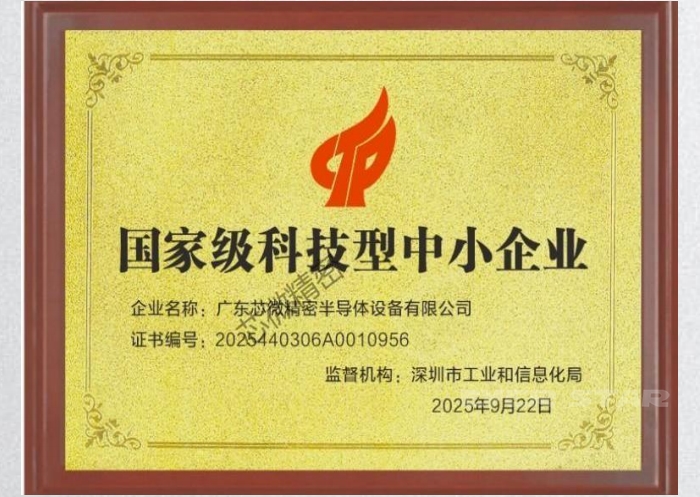 国家级科技型中小企业